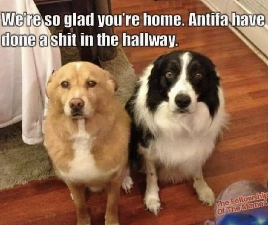 https://www.FourFreedomsBlog.com/uploads/Antifa3.jpg